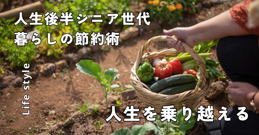 ほったらかし生活で老後の安定「支出を減らす工夫」と「プチ収入」５つの方法
