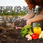 家庭菜園生きがい