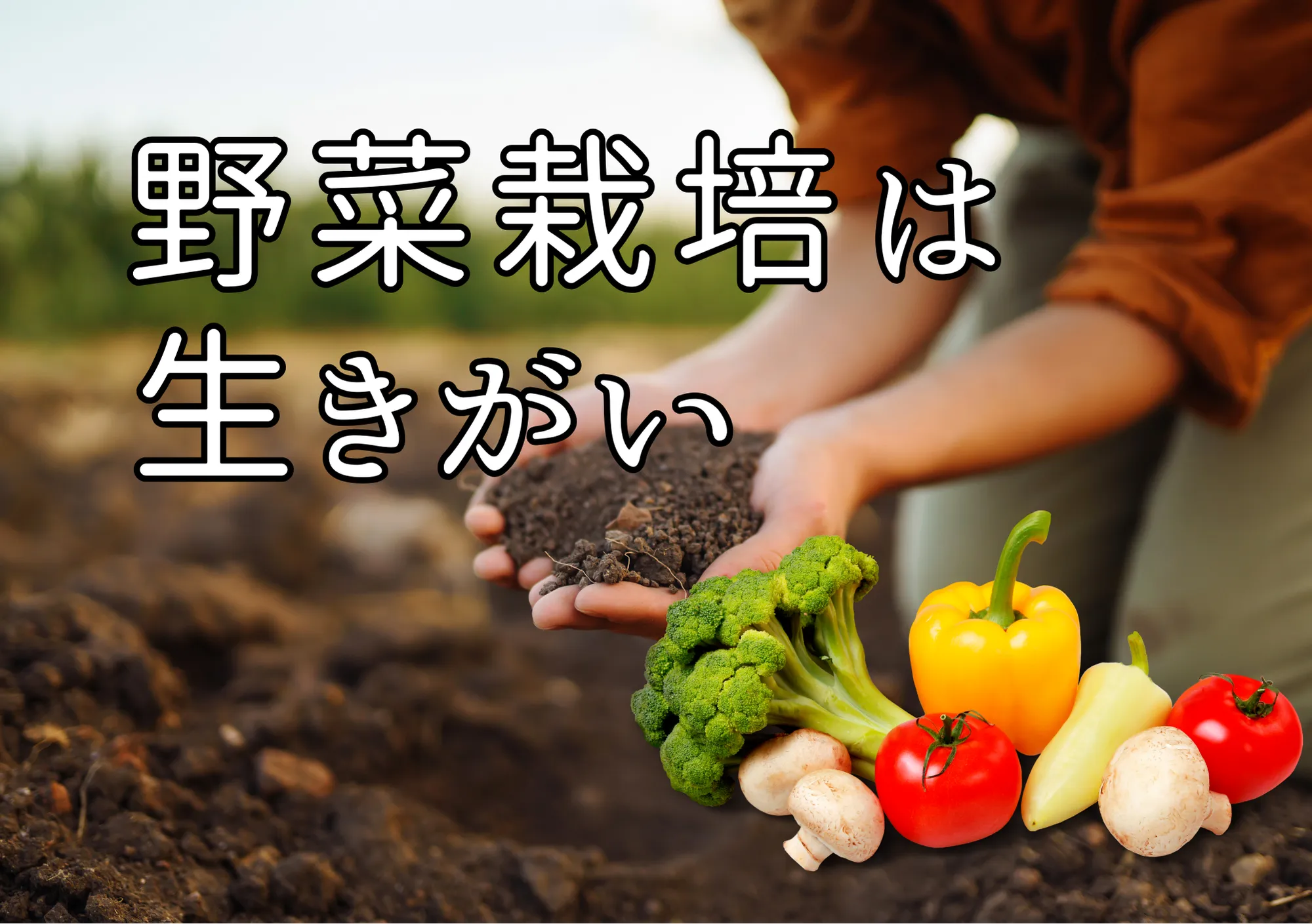 家庭菜園生きがい