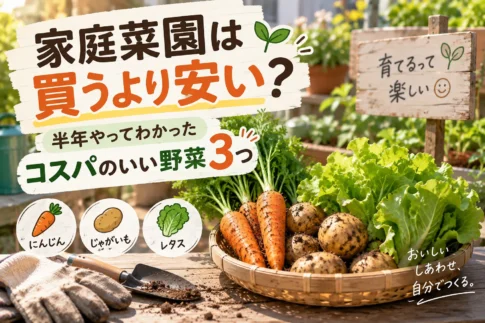 コスパ最強野菜