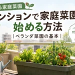 ベランダ菜園