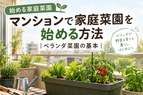 ベランダ菜園