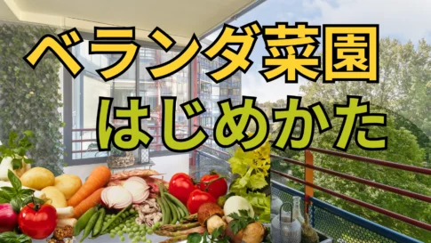 ベランダ菜園始め方