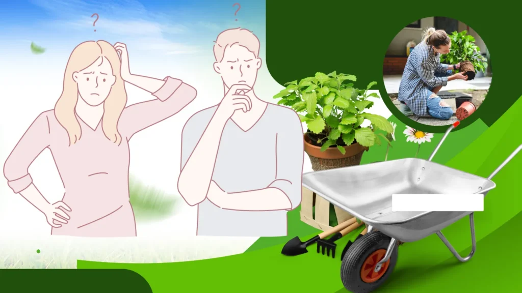 プランター土処分