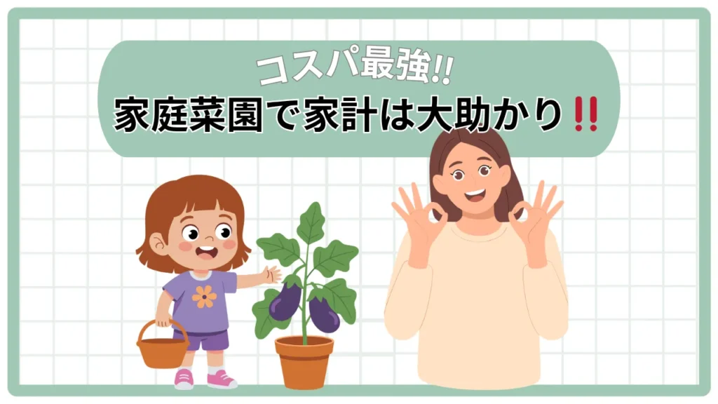 家庭菜園で食費が月1万円浮く!元が取れるコスパ最強の野菜たち