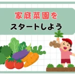 家庭菜園の始め方