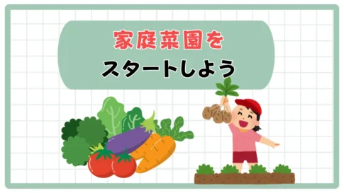 家庭菜園の始め方
