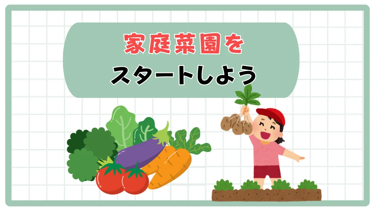 家庭菜園の始め方