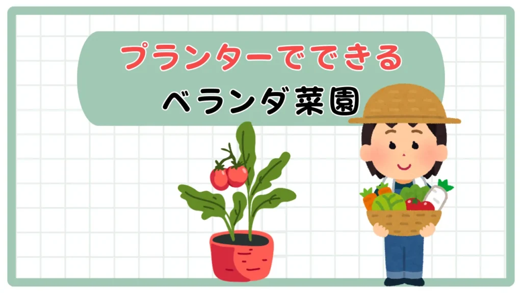 【始める家庭菜園】最安•最短でできる！ベランダ菜園の作り方｜プランター栽培