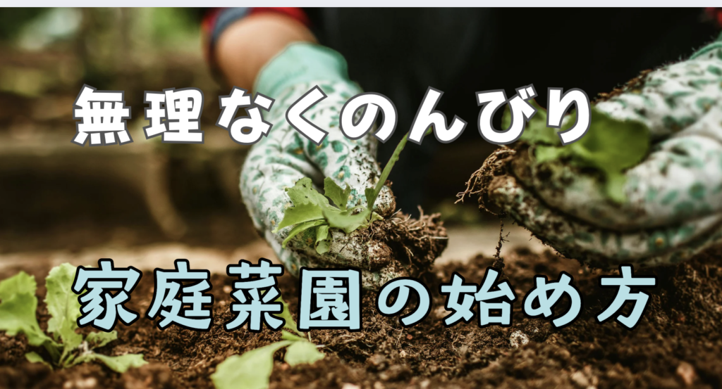 初心者向け!家庭菜園「スタートガイド」3ステップ〜ベランダ栽培、プランターや小さな畑も