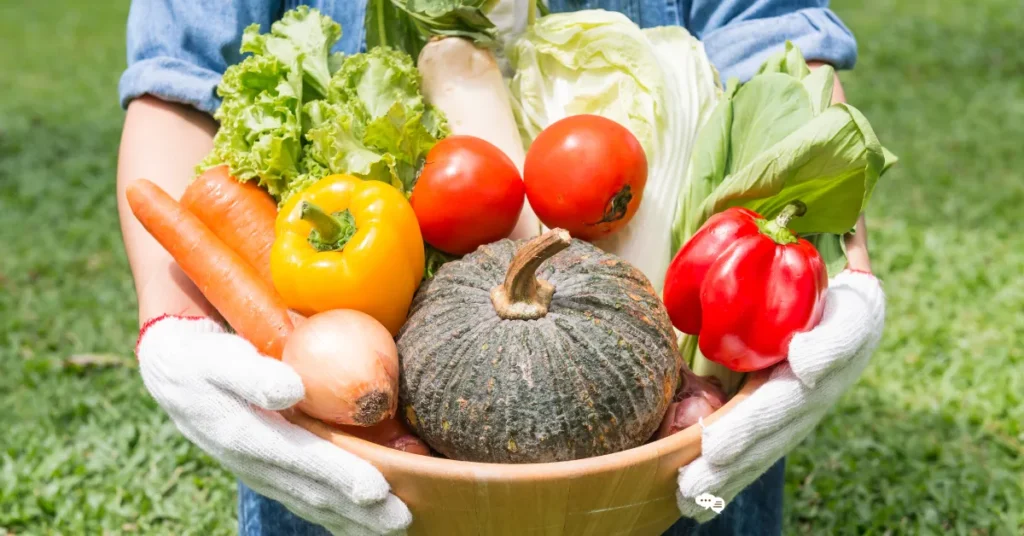 野菜宅配サービス