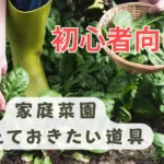 初心者向け家庭菜園