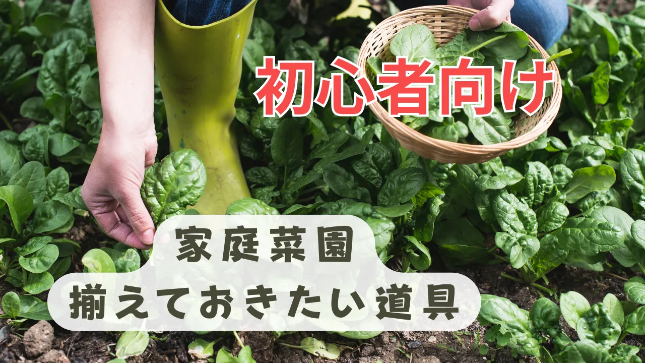 初心者向け家庭菜園