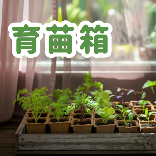 育苗箱