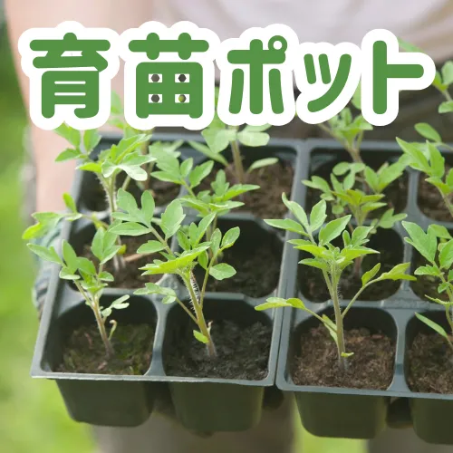 育苗ポット