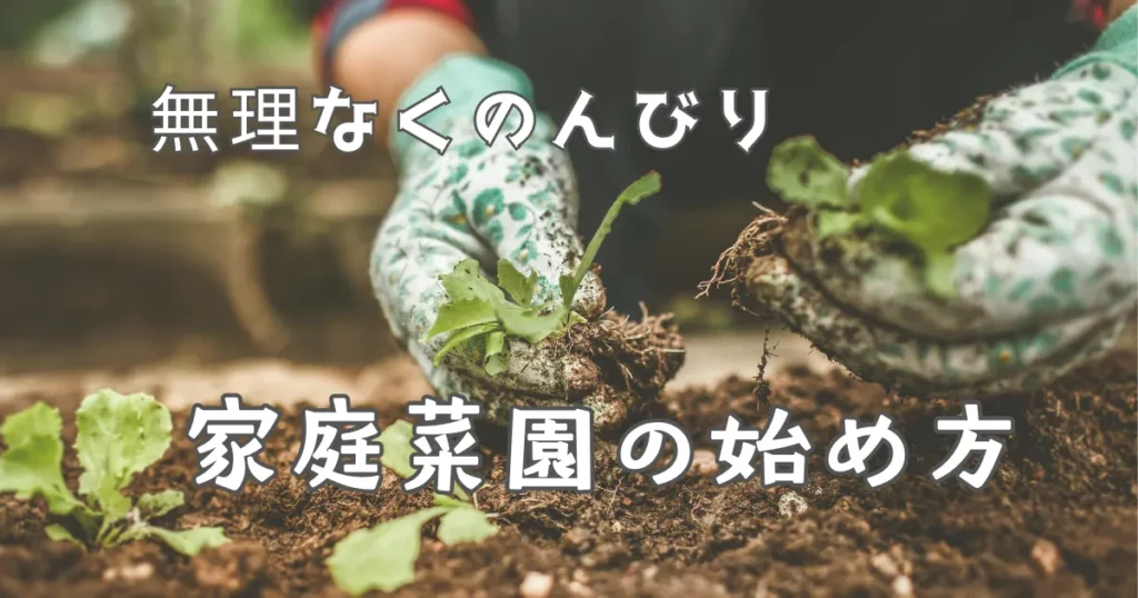 ゼロ円でほったらかし「家庭菜園」|| スタートガイド３ステップ