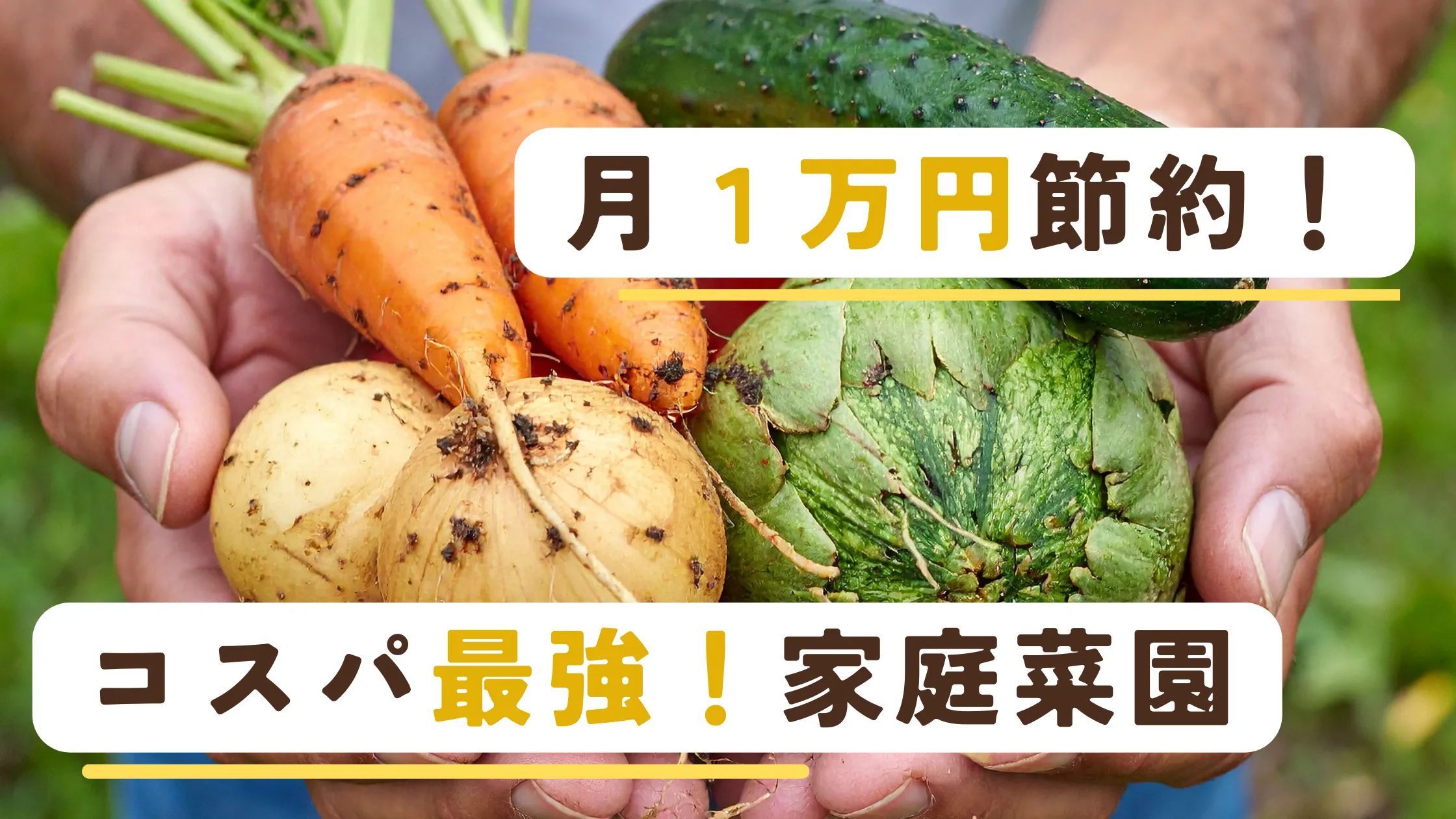 コスパ最強家庭菜園