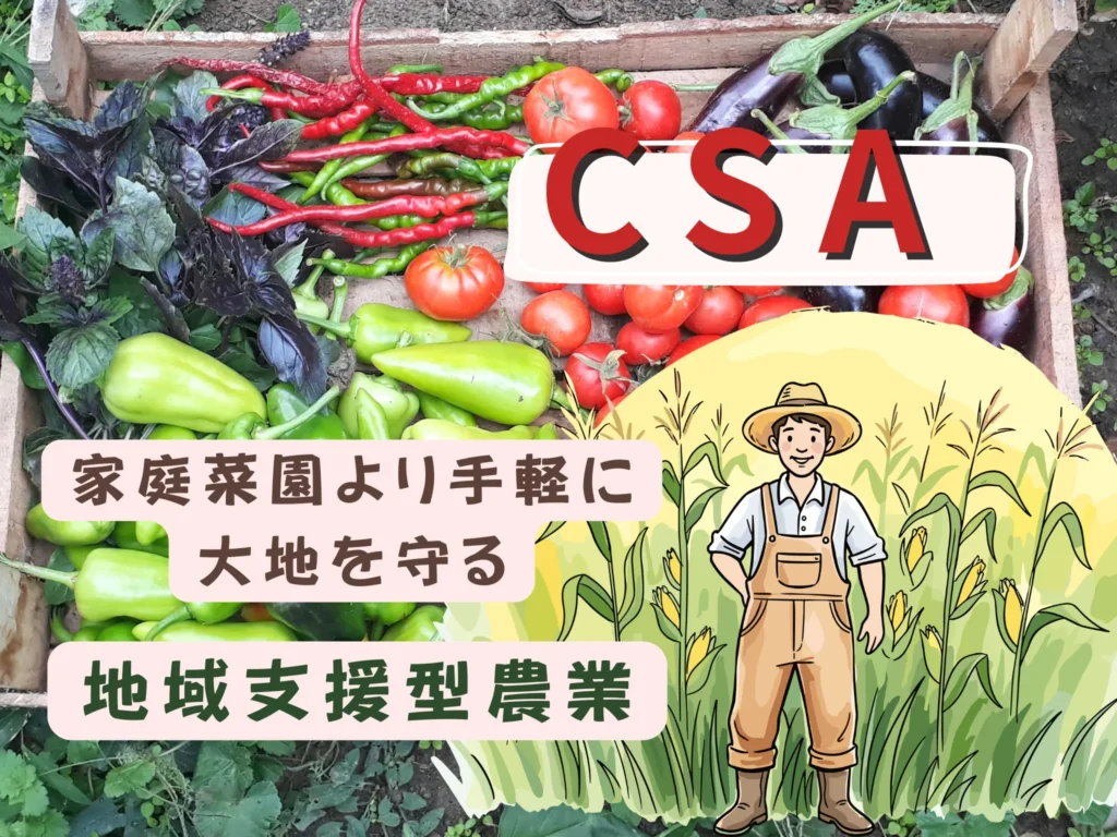 CSA（地域支援型農業）で味わう季節の野菜BOX！家庭菜園よりもラクに自然へ貢献できる仕組み