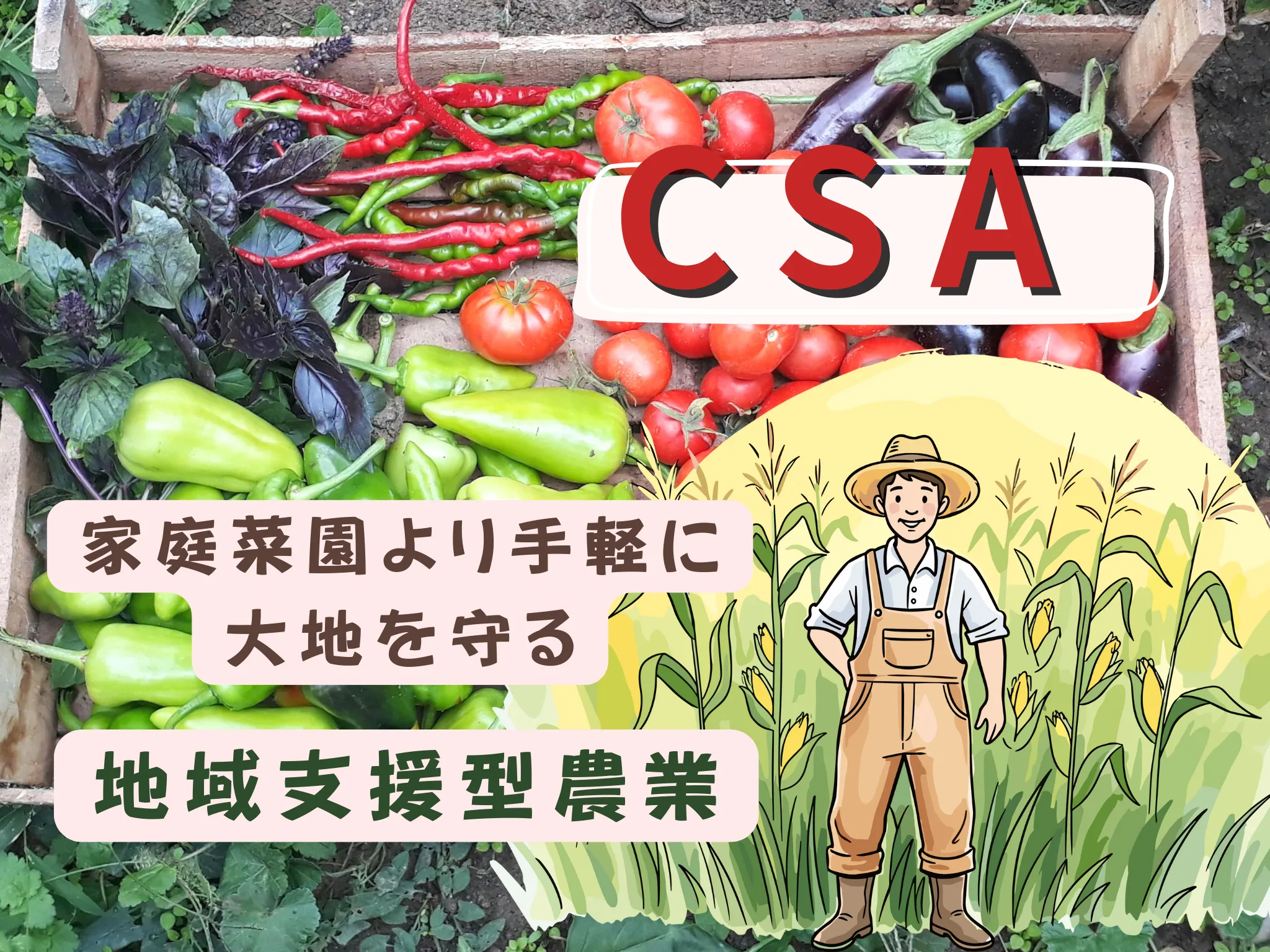 CSA