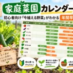 家庭菜園12ヶ月