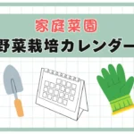 野菜カレンダー