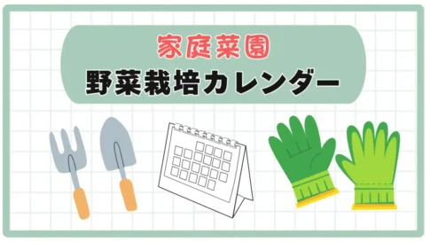 野菜カレンダー