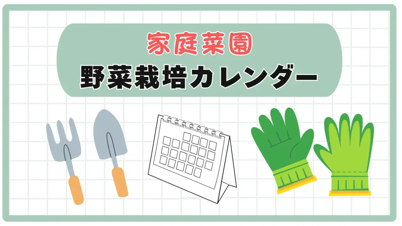 野菜カレンダー