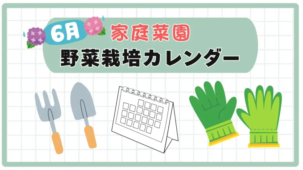 【2026年6月版】家庭菜園年間カレンダー|野菜を植える時期がわかるスケジュール