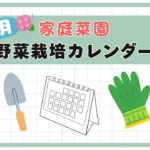 6月