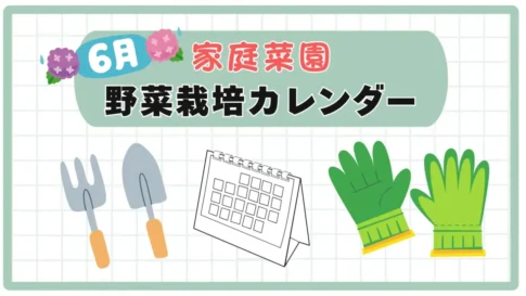 6月