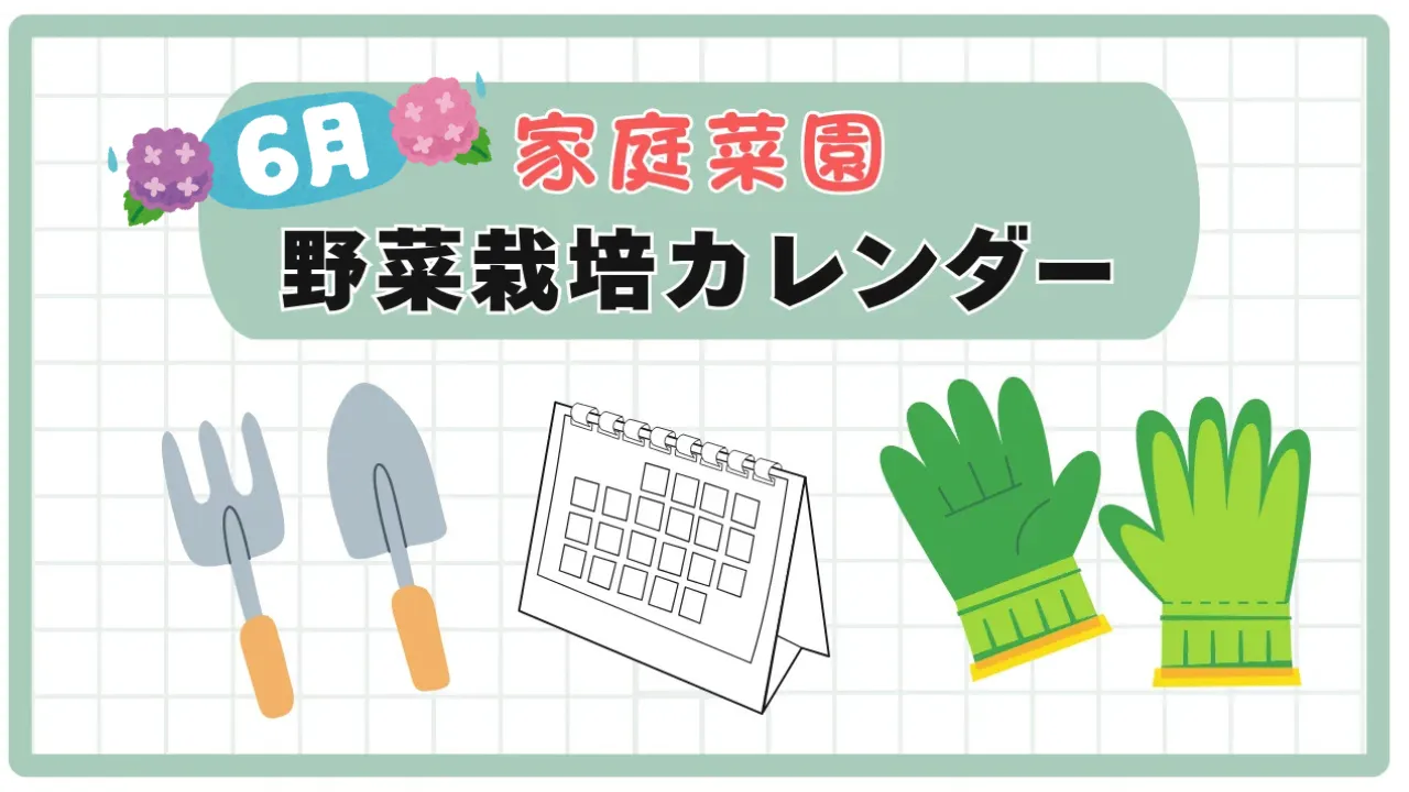 6月