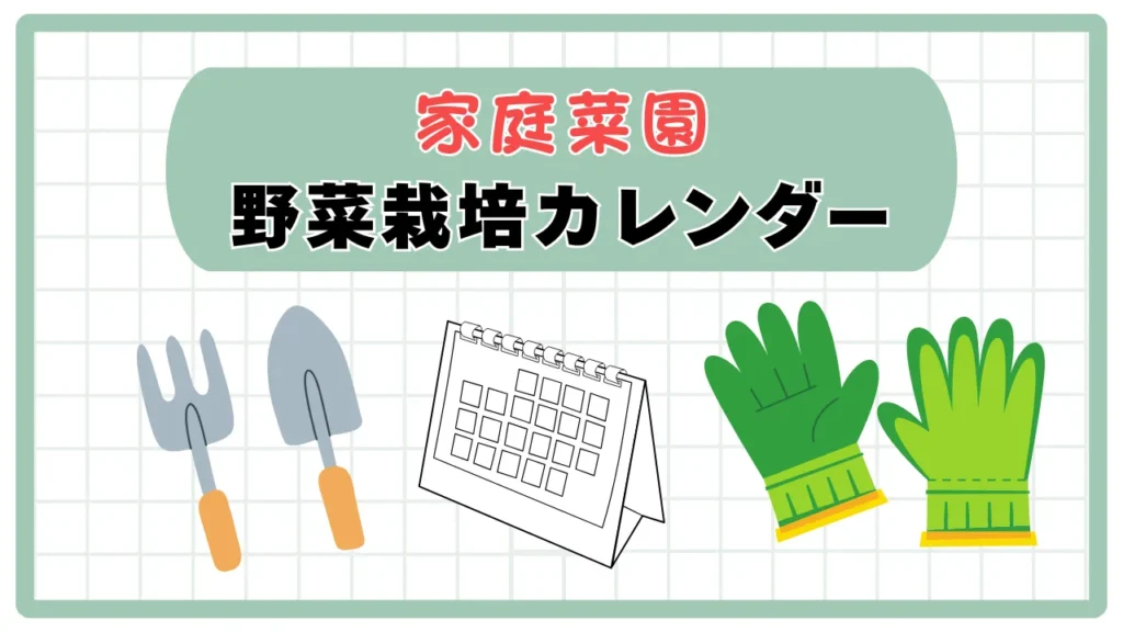 【初心者向け】家庭菜園カレンダー｜野菜を植える時期が一目でわかる年間スケジュール付き