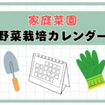 野菜栽培カレンダー