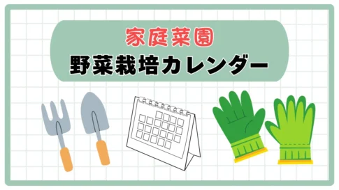 野菜栽培カレンダー