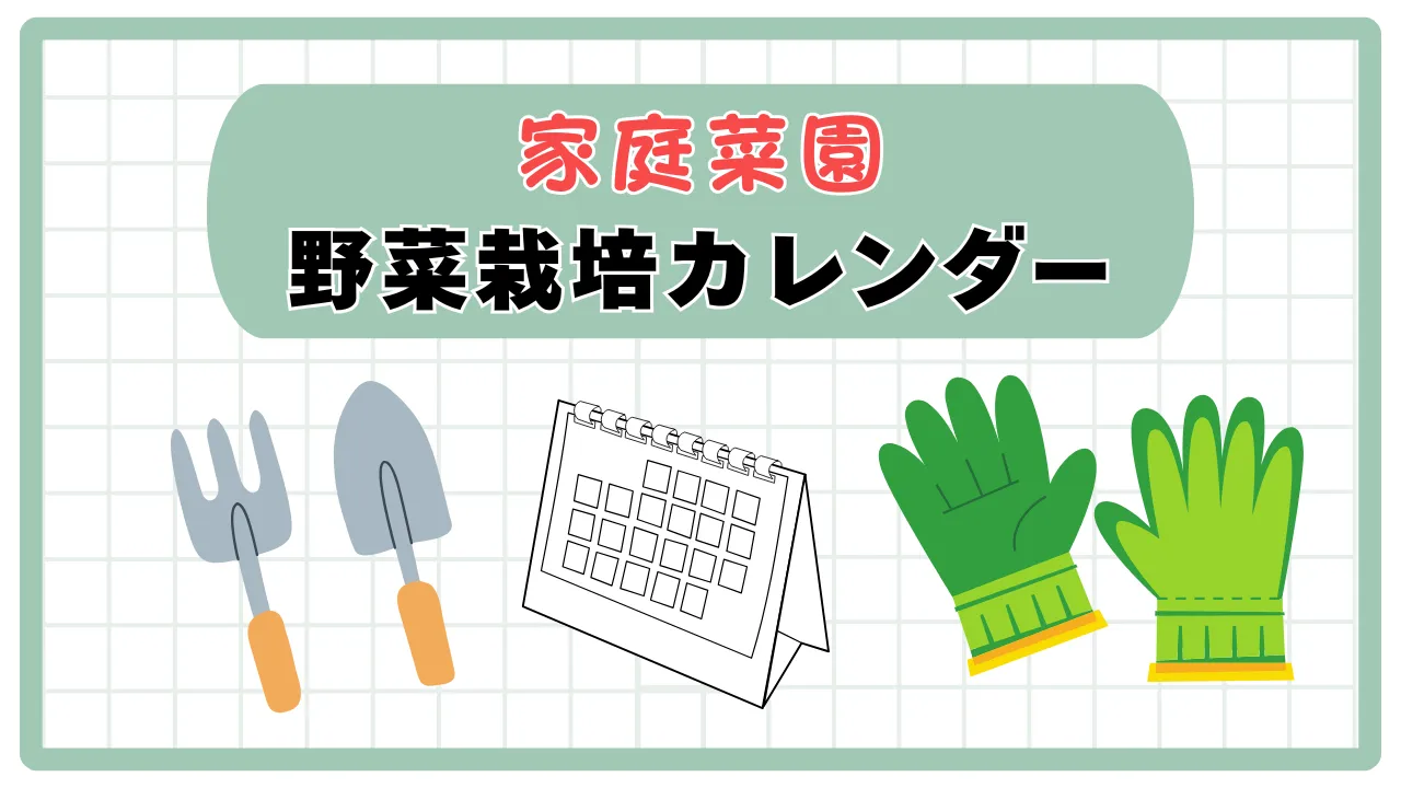 野菜栽培カレンダー