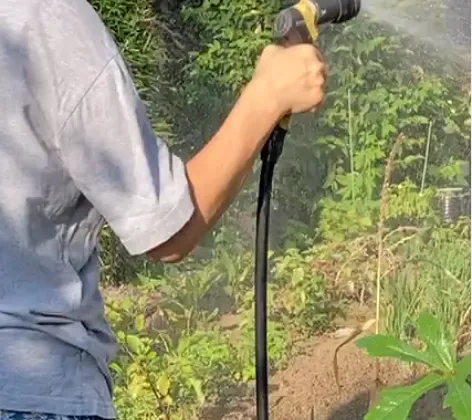 家庭菜園水やり