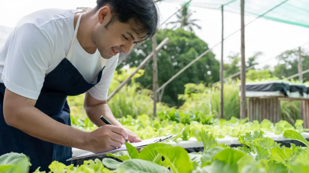野菜作り初心者