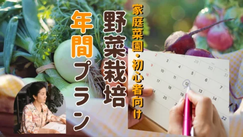 家庭菜園 栽培カレンダー