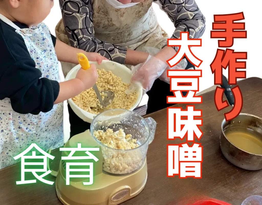 【食育】2歳と一緒に作る無農薬大豆と米麹の「手作り味噌」【子どもと一緒に手で潰してできる】
