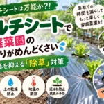 家庭菜園マルチシート