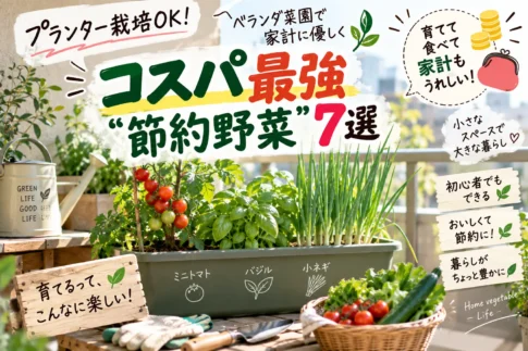 プランター栽培節約野菜
