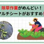 除草作業がめんどい!