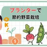 節約野菜