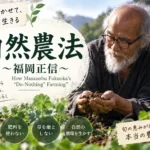 福岡正信