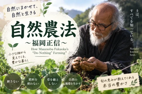 福岡正信