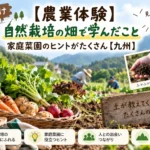 農業体験