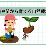 自家採取の種