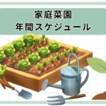 年間スケジュール