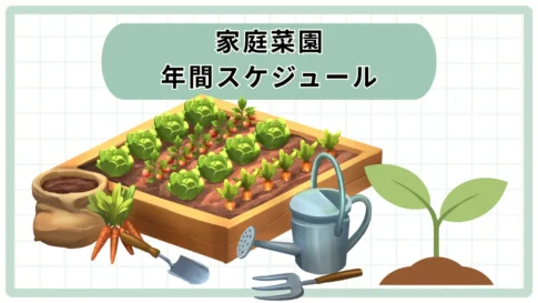 年間スケジュール