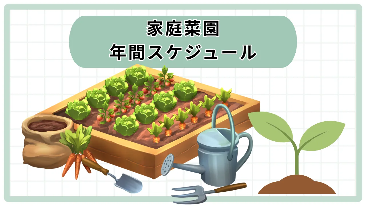 年間スケジュール